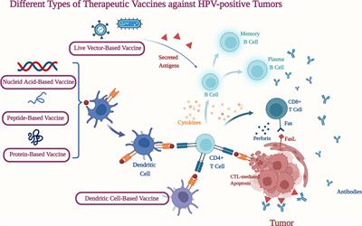 An Update on the Immunotherapy for Oropharyngeal Squamous Cell Carcinoma